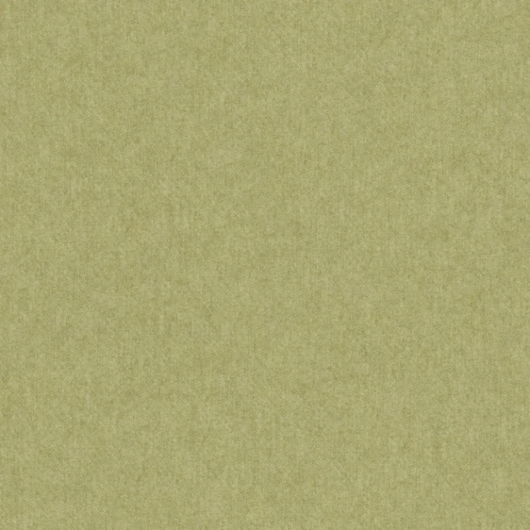 Draperie Braveheart 19 Pistachio