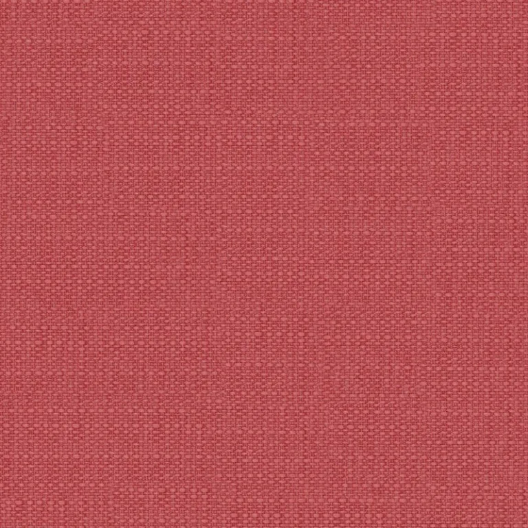Draperie Cyborg 08 Passion