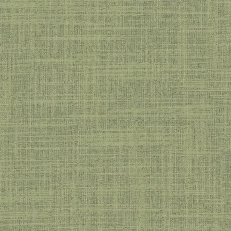 Perdea semiopacă Transit 19 Kiwi